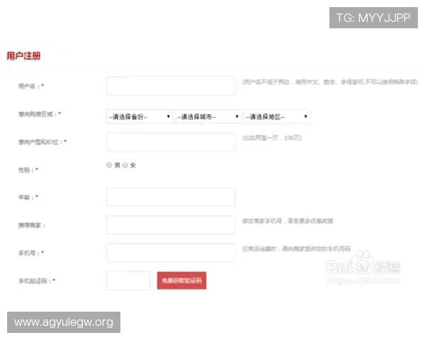 新手必读：AG电投网会员注册详细步骤及注册成功后如何快速开始娱乐体验